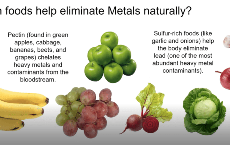 Eliminate Heavy Metals Naturally in Chesapeake